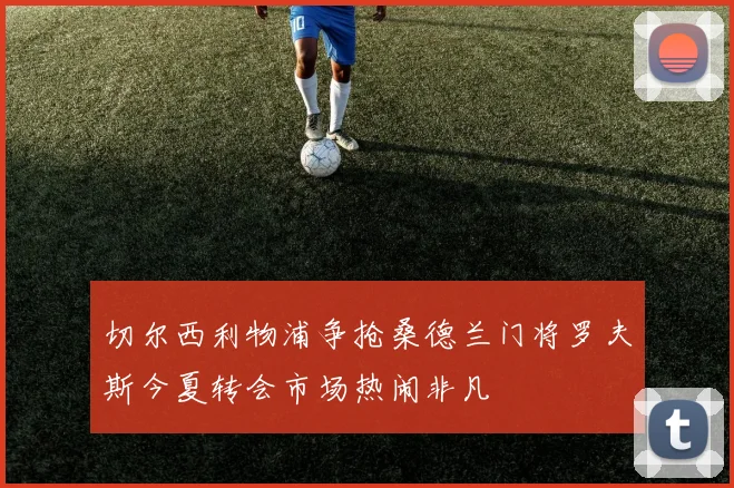 切尔西利物浦争抢桑德兰门将罗夫斯今夏转会市场热闹非凡
