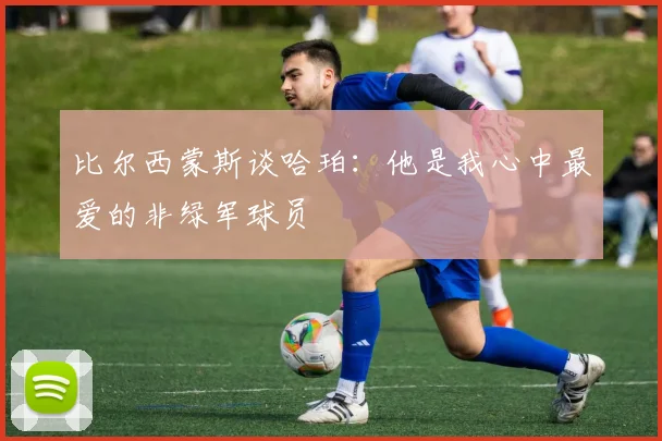 比尔西蒙斯谈哈珀：他是我心中最爱的非绿军球员