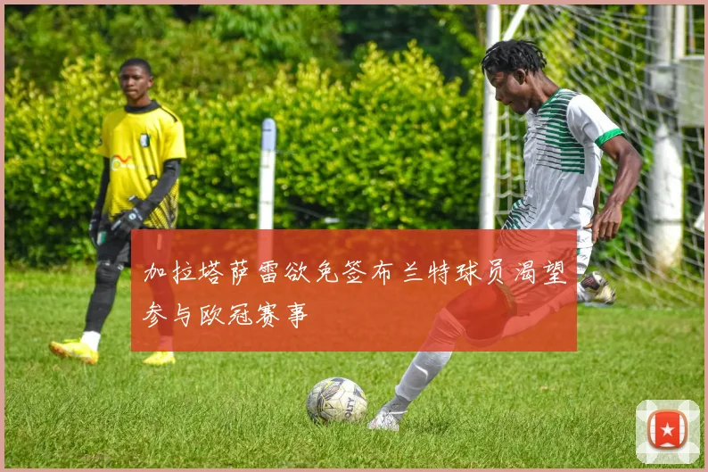 加拉塔萨雷欲免签布兰特球员渴望参与欧冠赛事